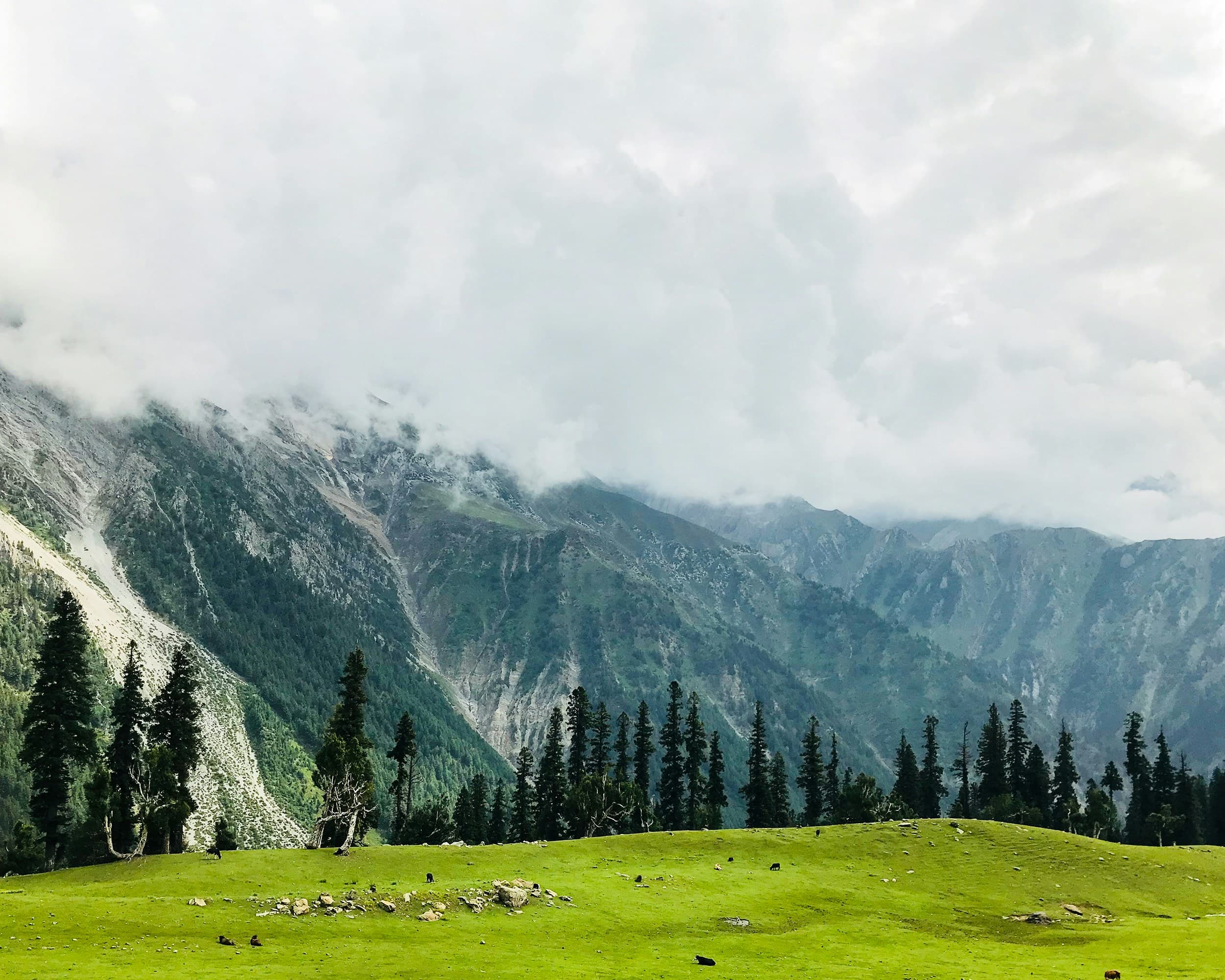 Sonmarg
